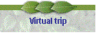 Virtual trip