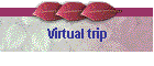 Virtual trip